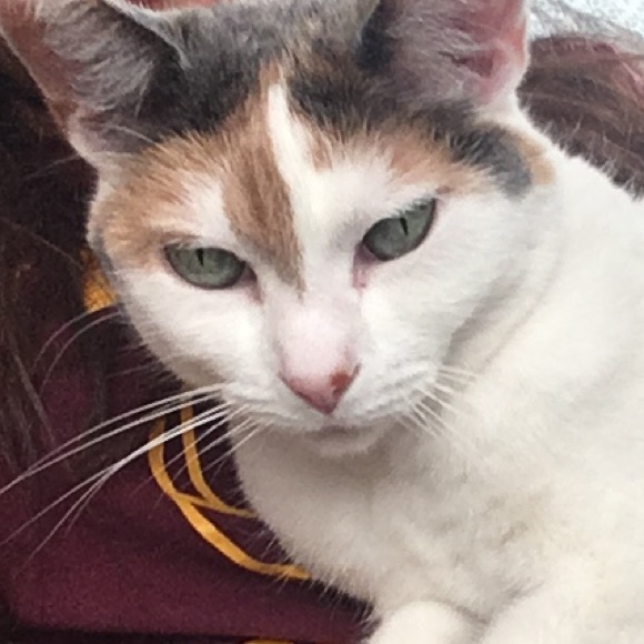 Meet your Posher, S - Picture 1 of 1